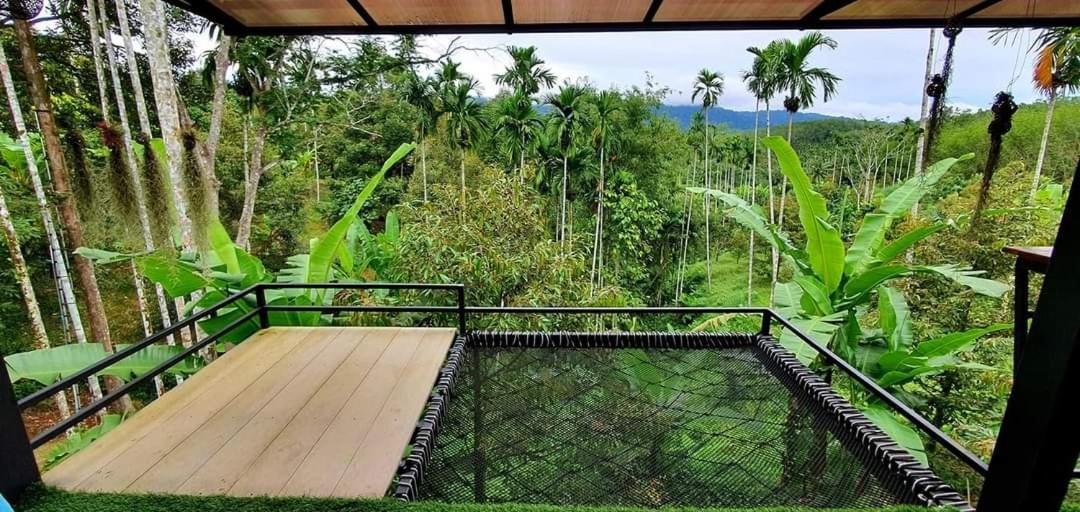Chill Chill Lodge
